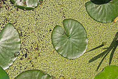 《死亡搁浅》发布1.07更新 玩家可将保存数据迁移至导剪版